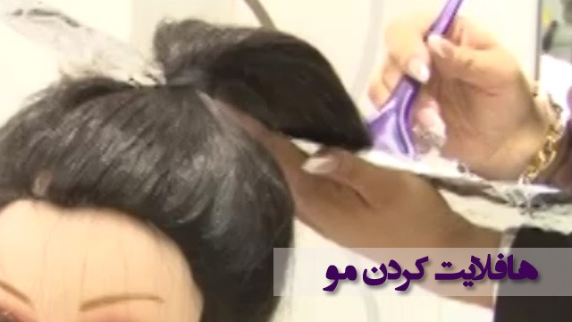 هاف لایت
